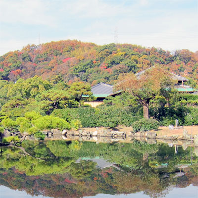 秋の池